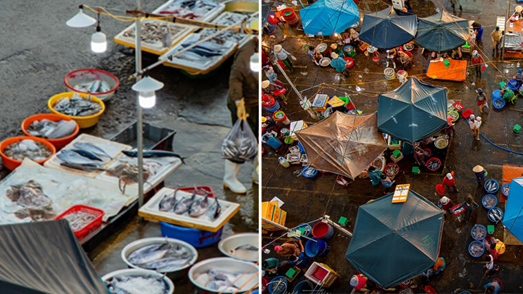 hoi an markets shopping