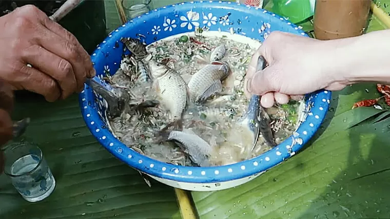 vietnam strange food