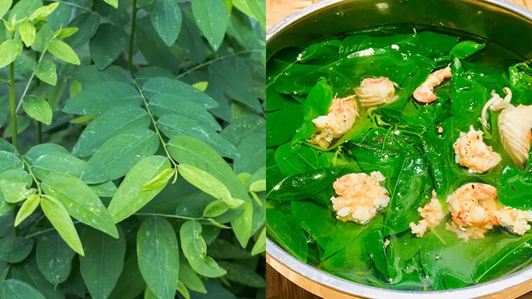 vietnamese green vegetables