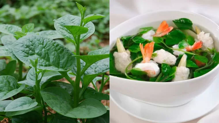 vietnamese vegetable