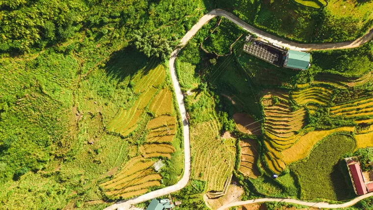 terraced rice fields vietnam