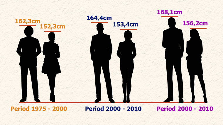 Vietnamese's average height increases insignificantly after a