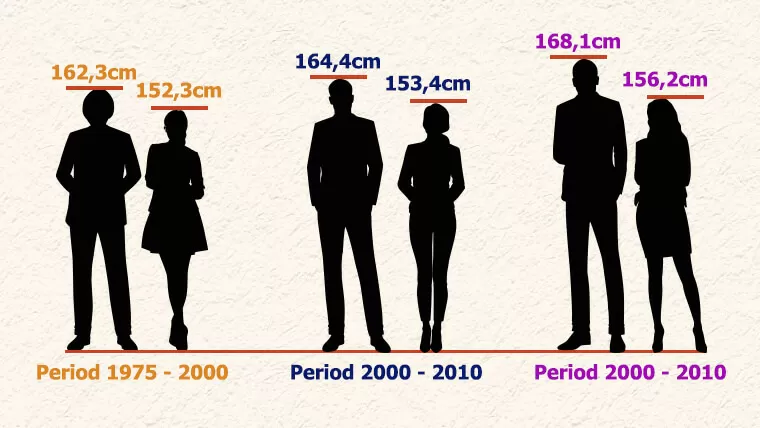 average height vietnamese