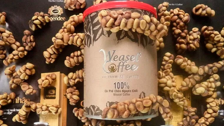 weasel coffee vietnam