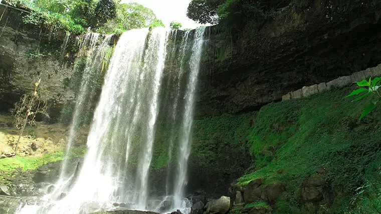 visit dambri waterfall