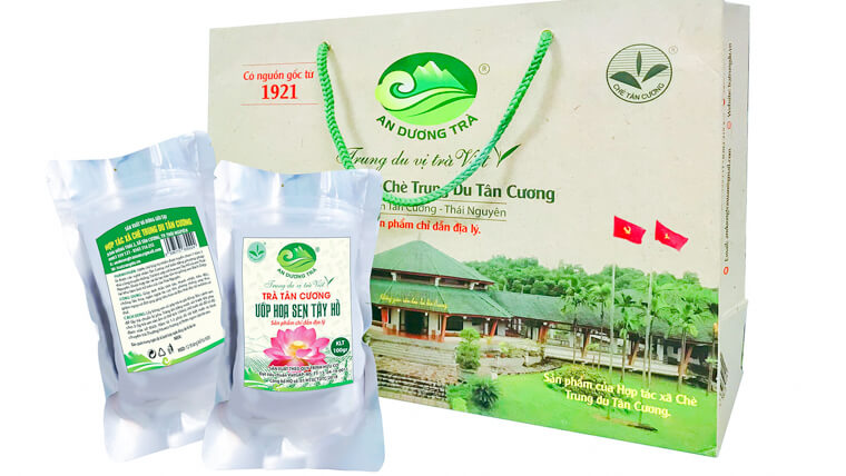 About Vietnamese lotus tea: health benefits, famous brands & prices