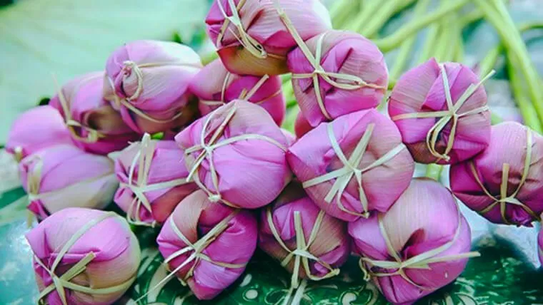 vietnamese lotus tea benefits