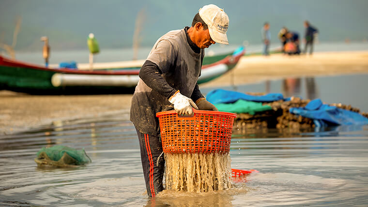 lap an lagoon fisherman