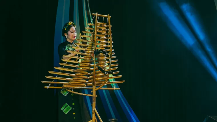 musical instruments of vietnam