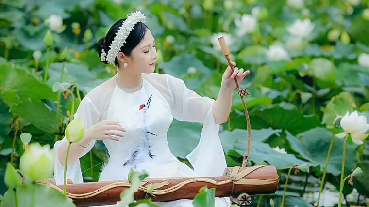 vietnamese stringed instruments