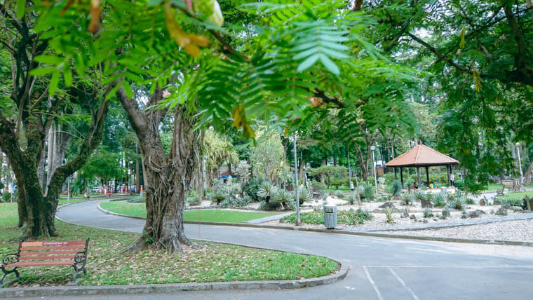 tao dan park ho chi minh