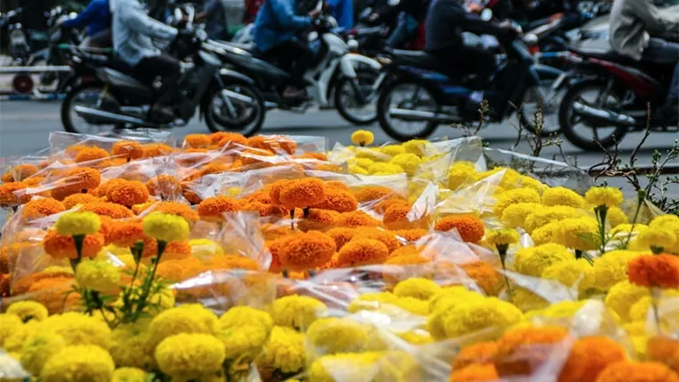 vietnam tet flowers