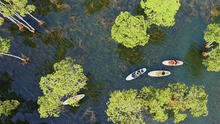 where to take kayak in vietnam