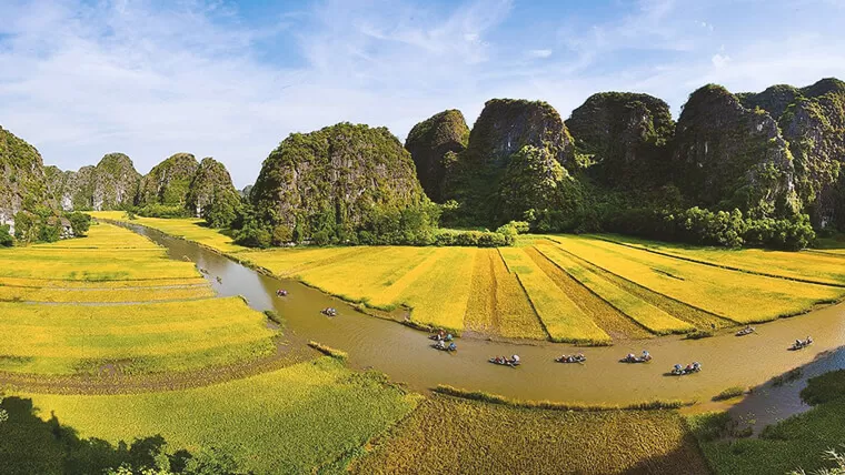 rice fields in  tam coc vietnam