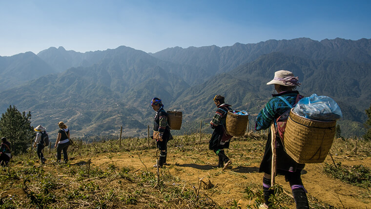 Fasipan hiking