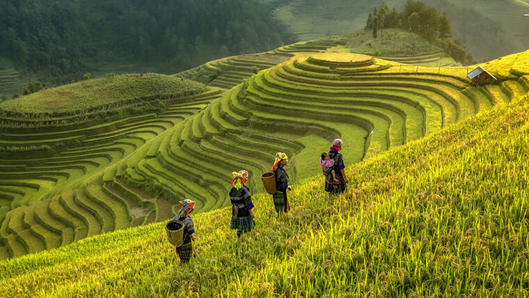 Beautiful Hoang Su Phi