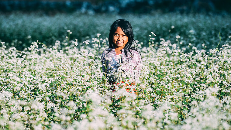 Buckwheat Hoang Su Phi