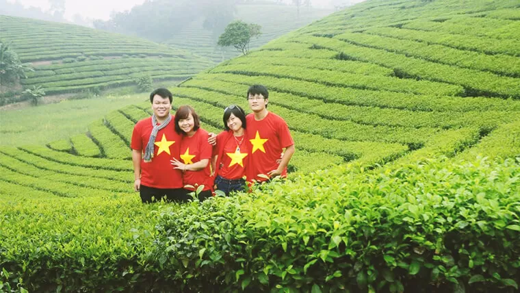 Upland tea Hoang Su Phi