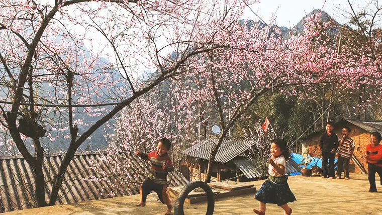 Spring best time to visit to Sapa