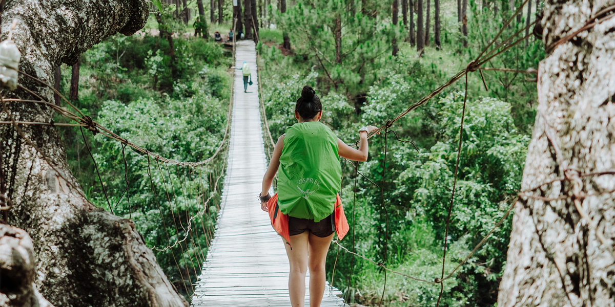 Forest in Vietnam title