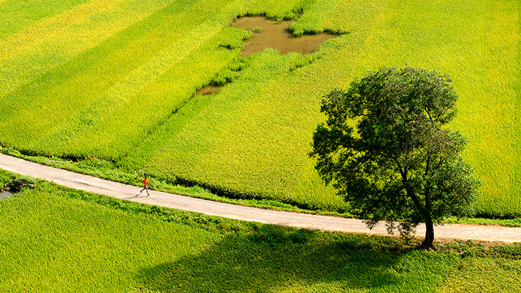 Autumn weather in Ninh Binh