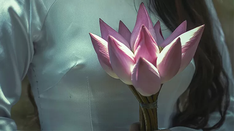 vietnamese lotus flower