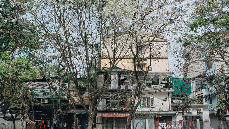 March weather in Hanoi