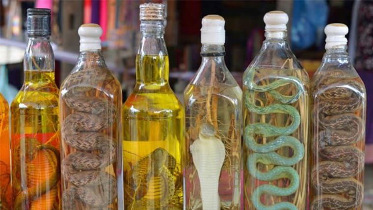 Vietnamese snake wine