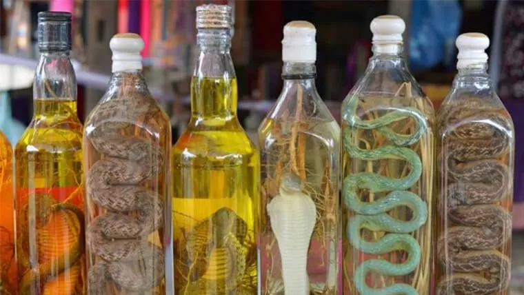 Vietnamese snake wine