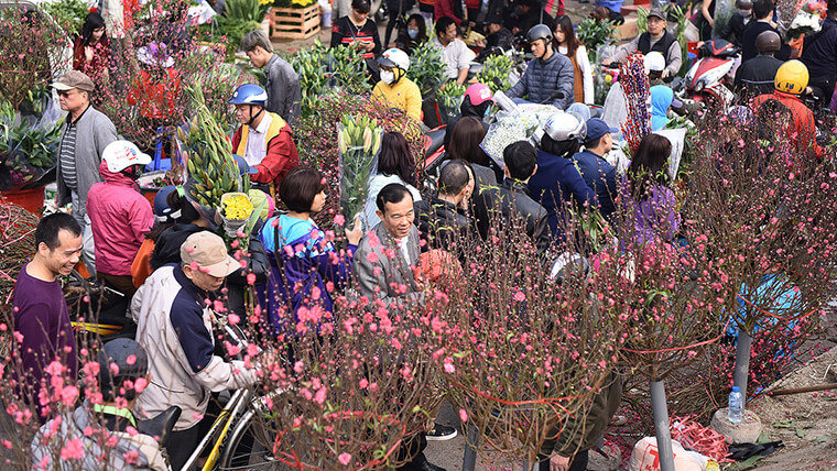 what to do in hanoi in january