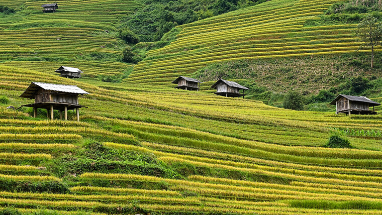 attractions in sapa vietnam