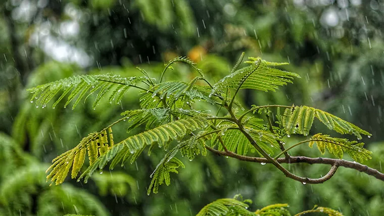 rainy season in vietnam