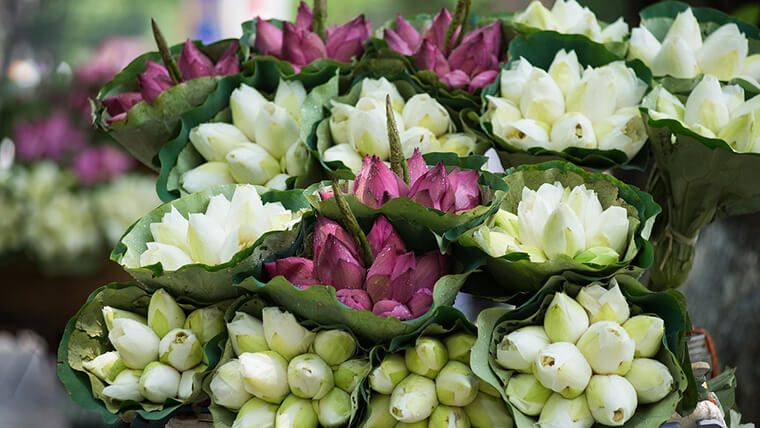 hanoi flower market