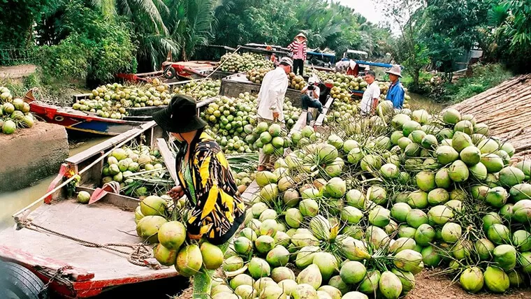 orchards in ben tre vietnam