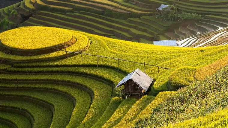 Rice terraces of Mu Cang Chai Vietnam