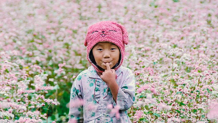 ha giang best time to visit