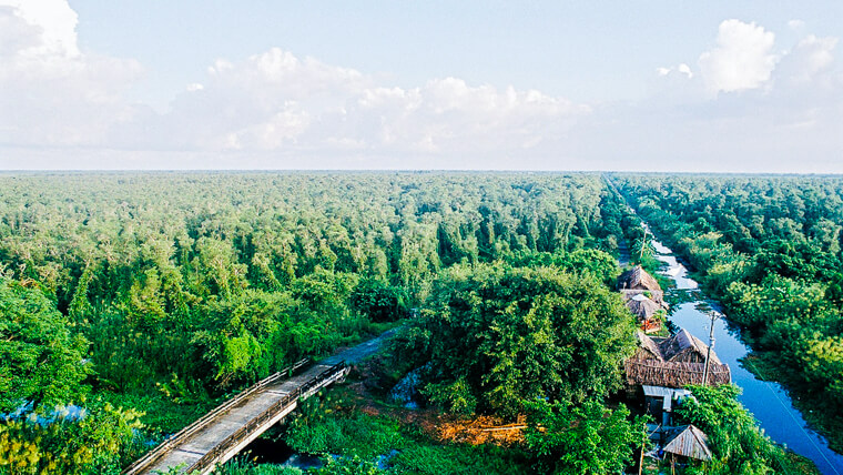 ca mau province