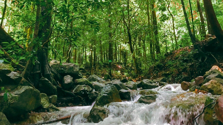 kon tum province vietnam