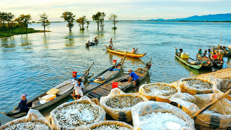 tri ton an giang vietnam