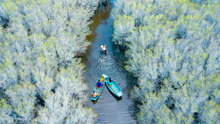 quang ngai mangrove forest