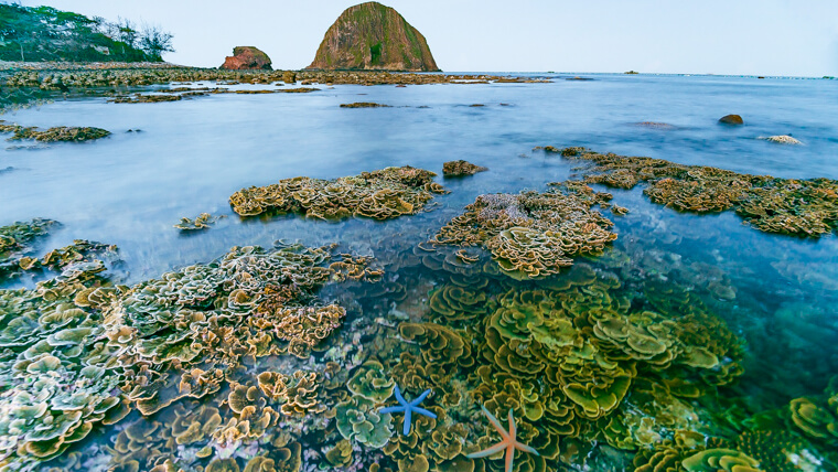 da dia reef phu yen