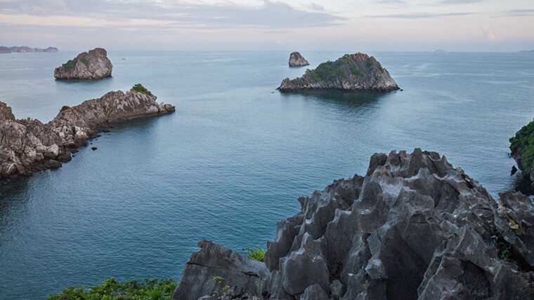 Cat Ba monkey island